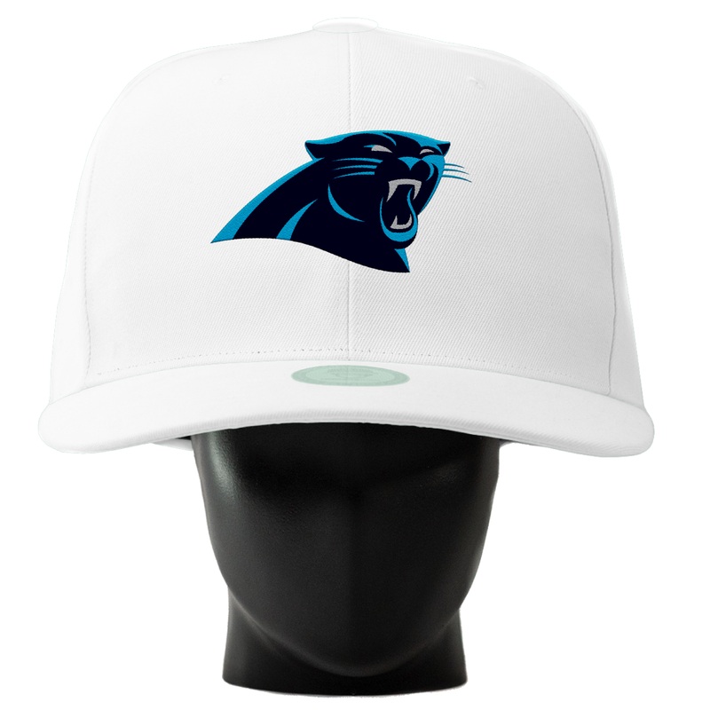 Carolina Panthers Noggin Black (S/M)