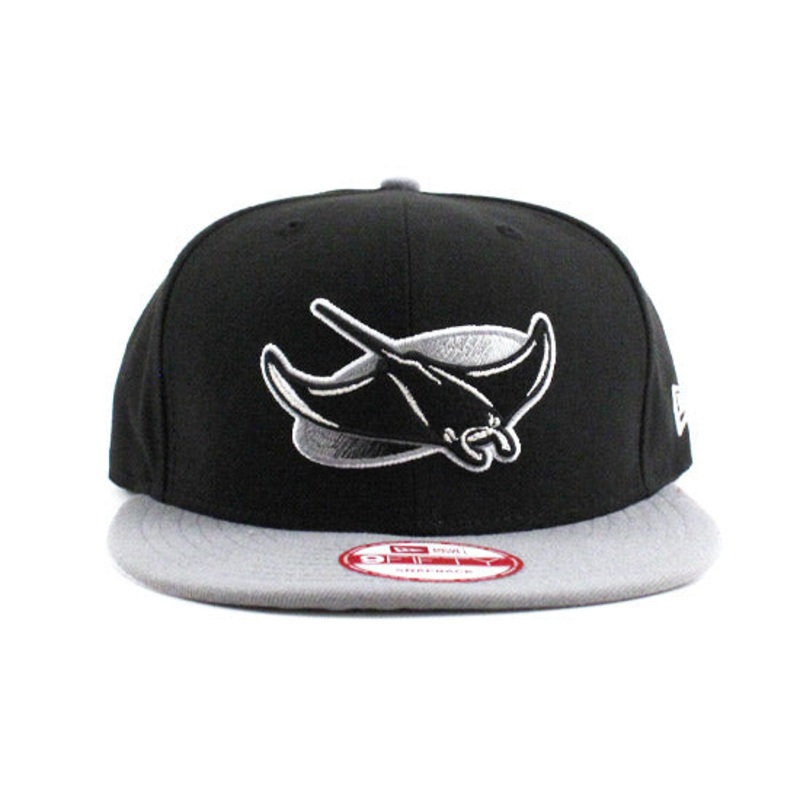 Tampa Bay Devil Rays New Era 9FIFTY Snapback Hat (AIR JORDAN RETRO 8 CHROME) One Size